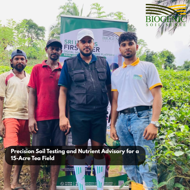 Precision Soil Testing and Nutrient Advisory for a 15-Acre Tea Field