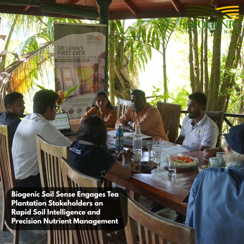 Biogenic Soil Sense Engages Tea Plantation Stakeholders on Rapid Soil Intelligence and Precision Nutrient Management