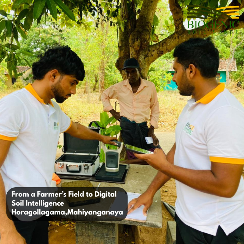 Building Sri Lanka’s First Digital Soil Intelligence System — One Farm at a Time