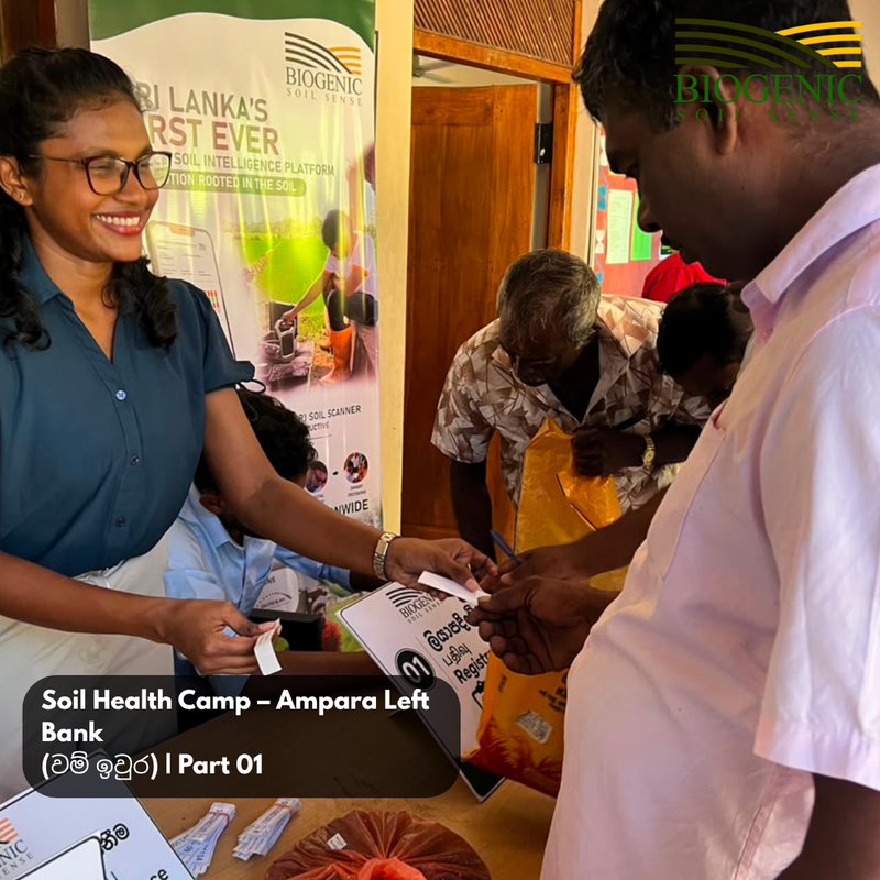 AMPARA SOIL HEALTH CAMP