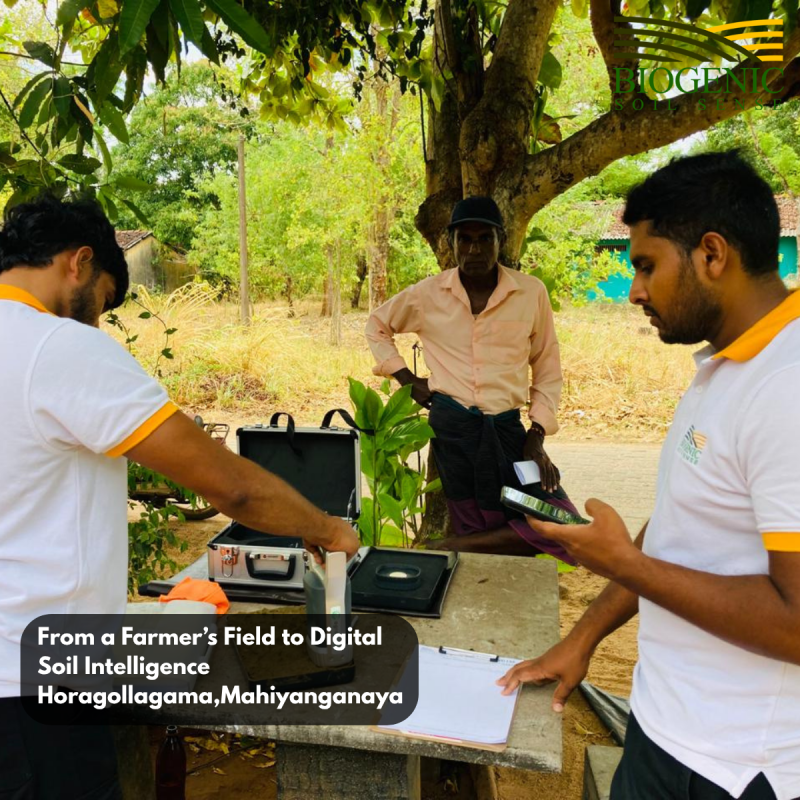 Building Sri Lanka’s First Digital Soil Intelligence System — One Farm at a Time