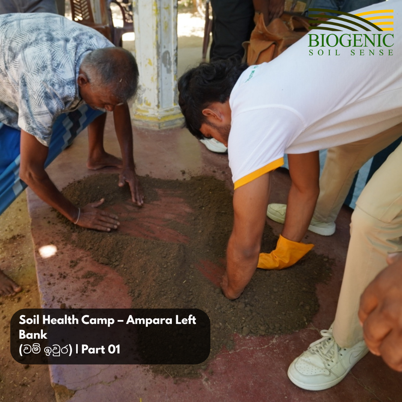 AMPARA SOIL HEALTH CAMP