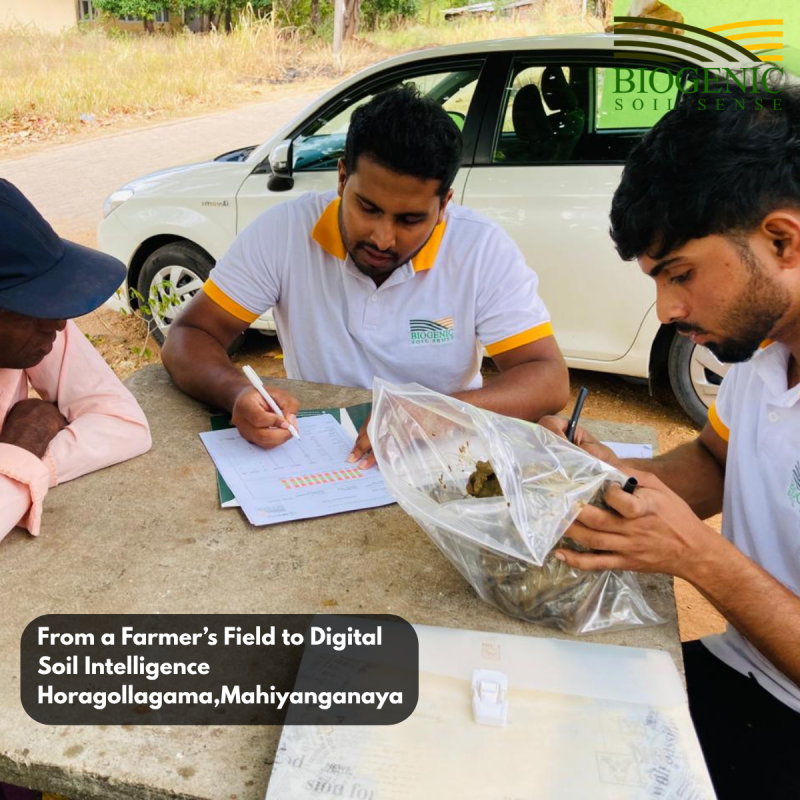 Building Sri Lanka’s First Digital Soil Intelligence System — One Farm at a Time