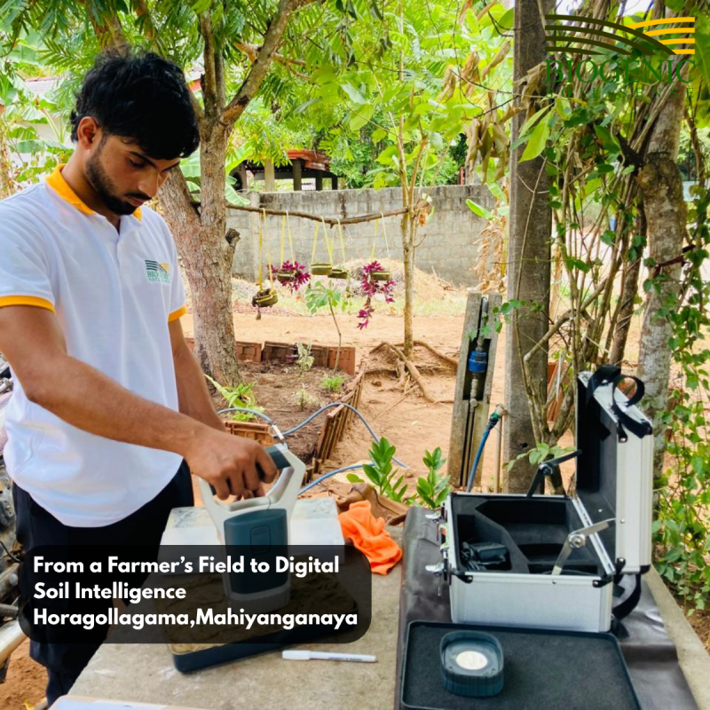 Building Sri Lanka’s First Digital Soil Intelligence System — One Farm at a Time