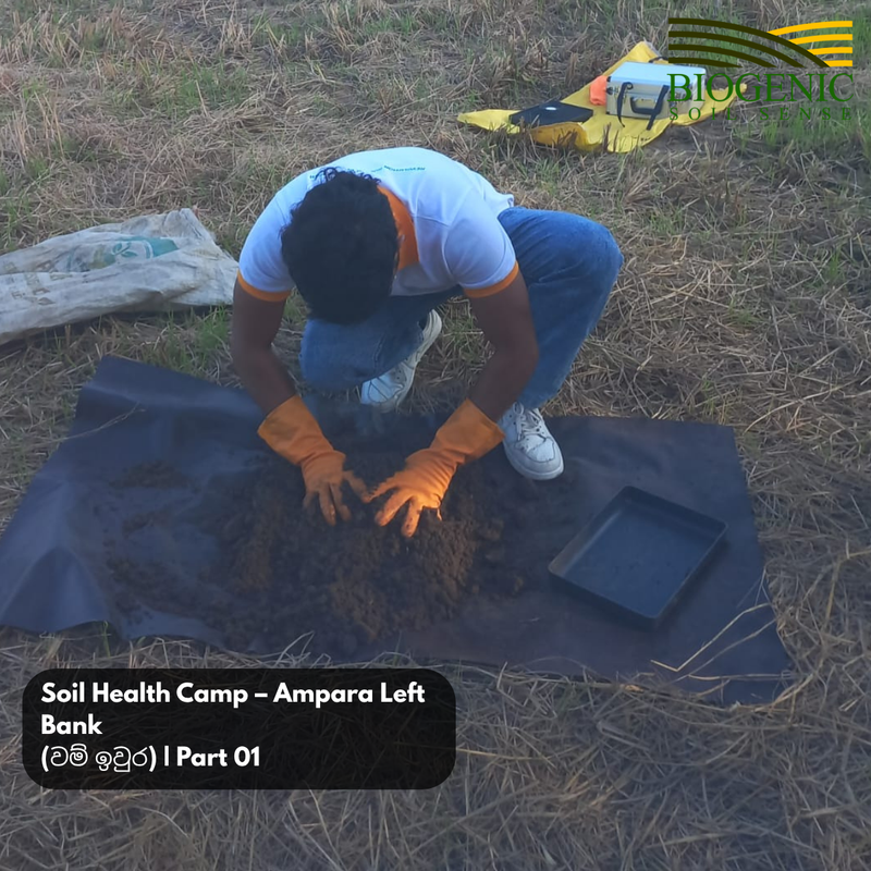 AMPARA SOIL HEALTH CAMP