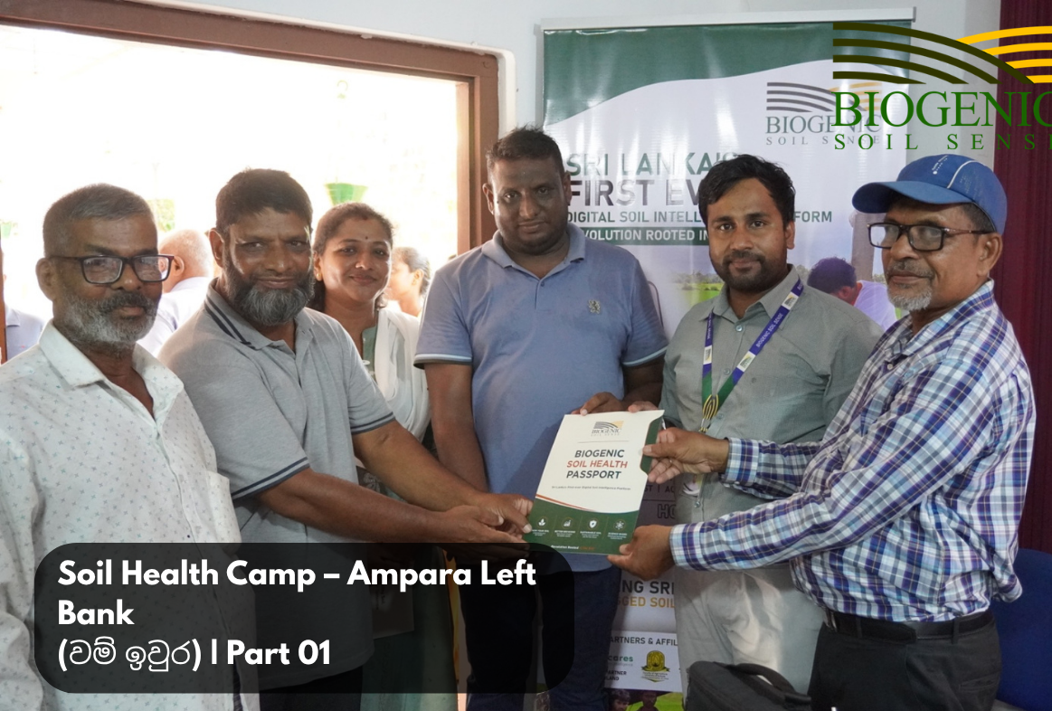 AMPARA SOIL HEALTH CAMP